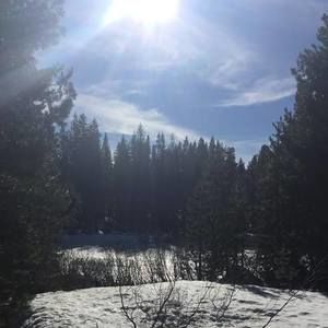 Meet your Posher, Tracy